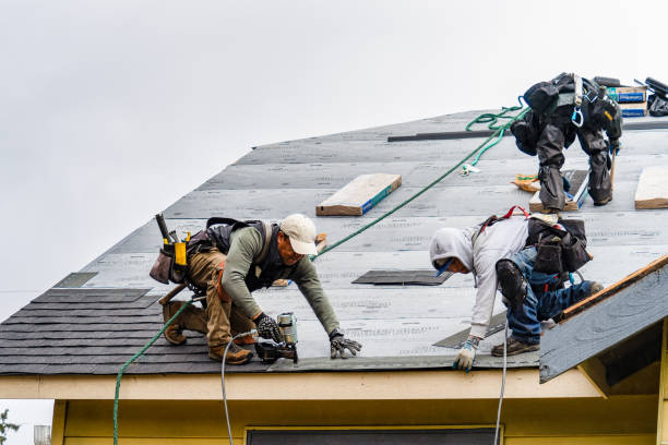 Professional Gutter Installation technician working in Lismore, MN